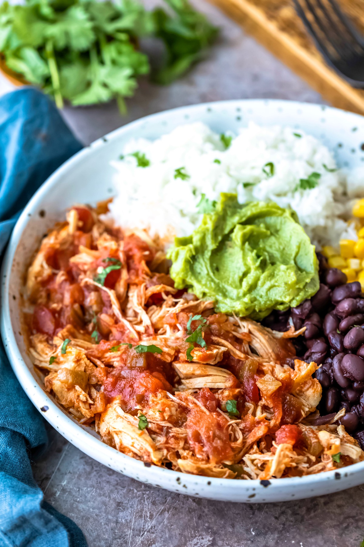 Instant Pot Salsa Chicken and Rice